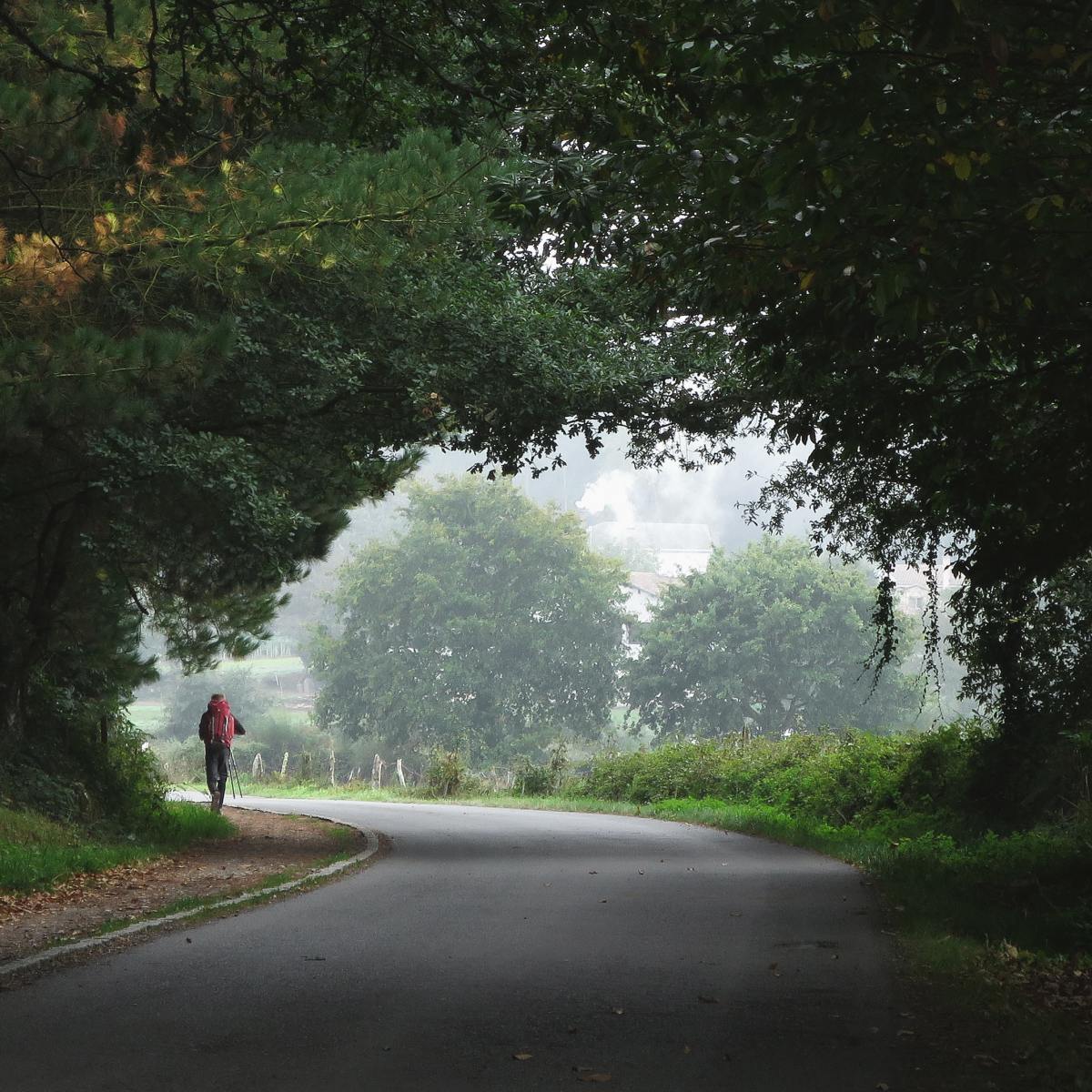 Sacred Seasons 37-39