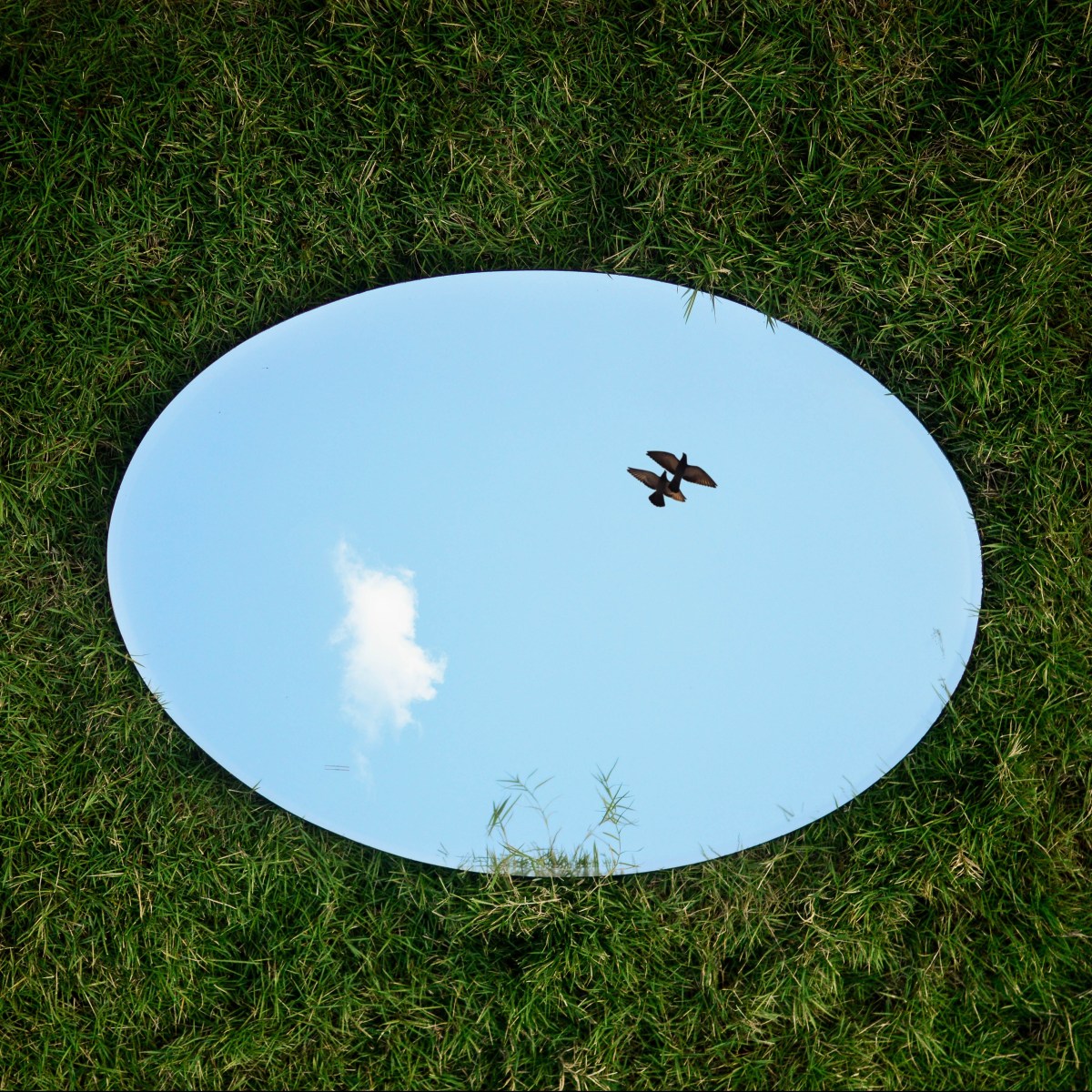 Lezing: een nieuw&nbsp;lied?