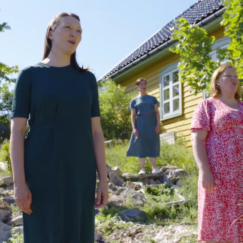 Op reis in de&nbsp;zomer