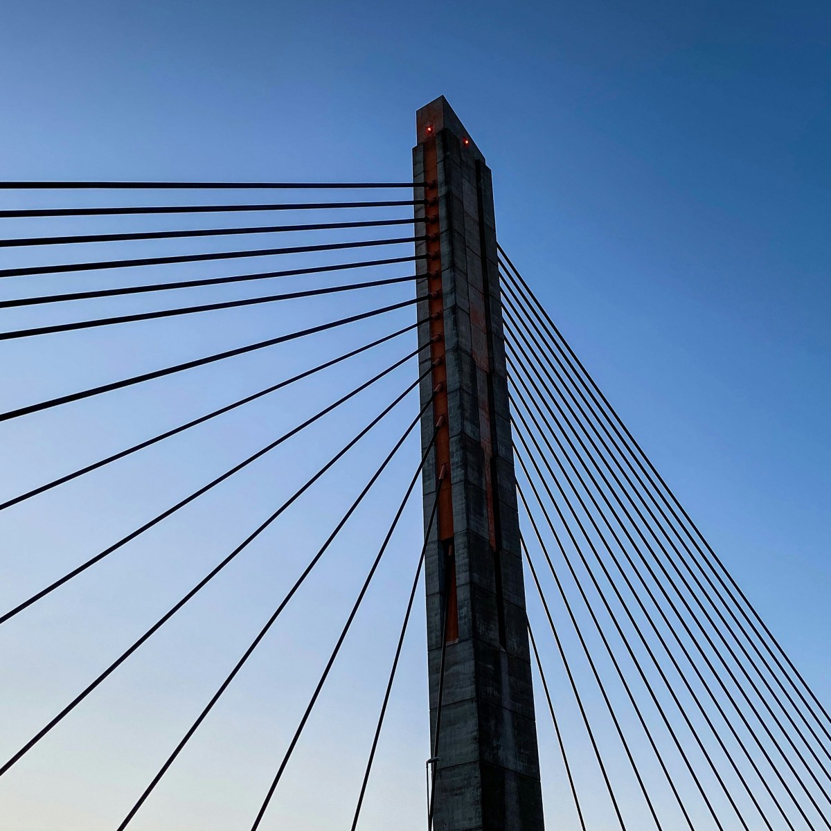 Symposium: ‘En wat zij zong hoorde ik dat psalmen&nbsp;waren’